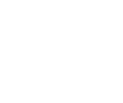 現地調査